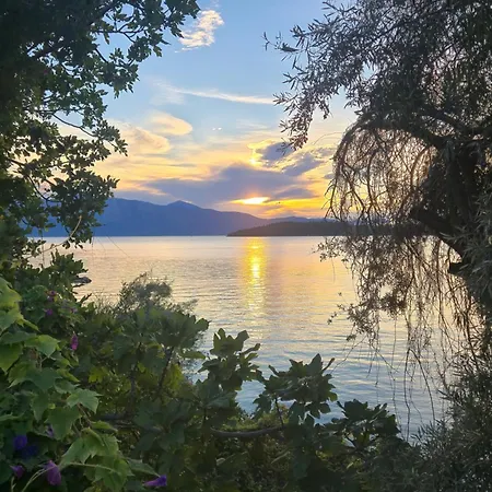 Tropicana 3*